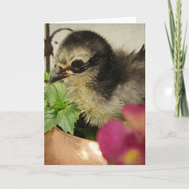 Frizzle Chick in Flowers Card (Front)