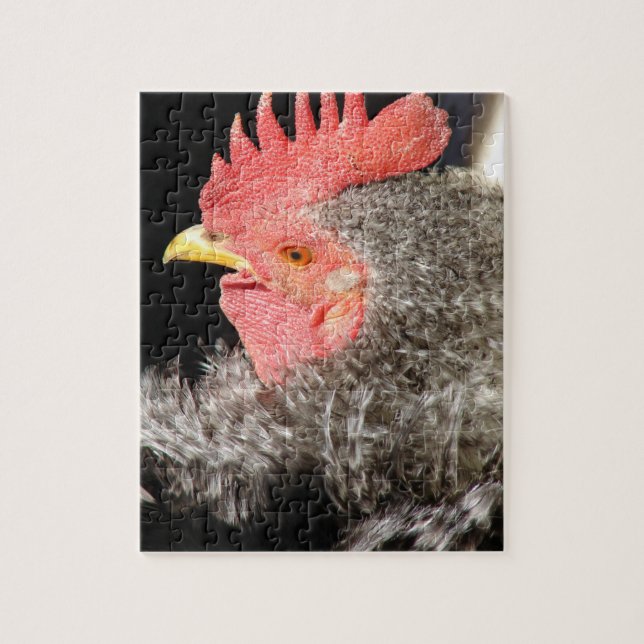 Frizzle Rooster Jigsaw Puzzle (Vertical)