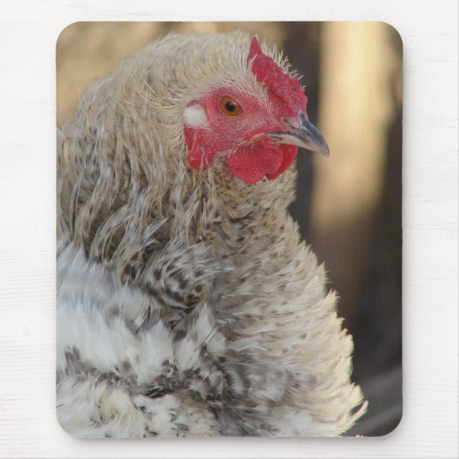 Frizzle Rooster Mouse Pad (Front)