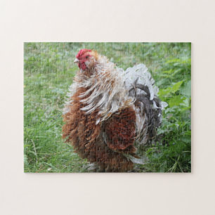 Frizzle Sizzle Fluffy Rooster in the Grass Jigsaw Puzzle