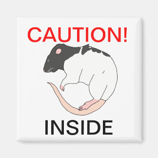Frodent warning magnet