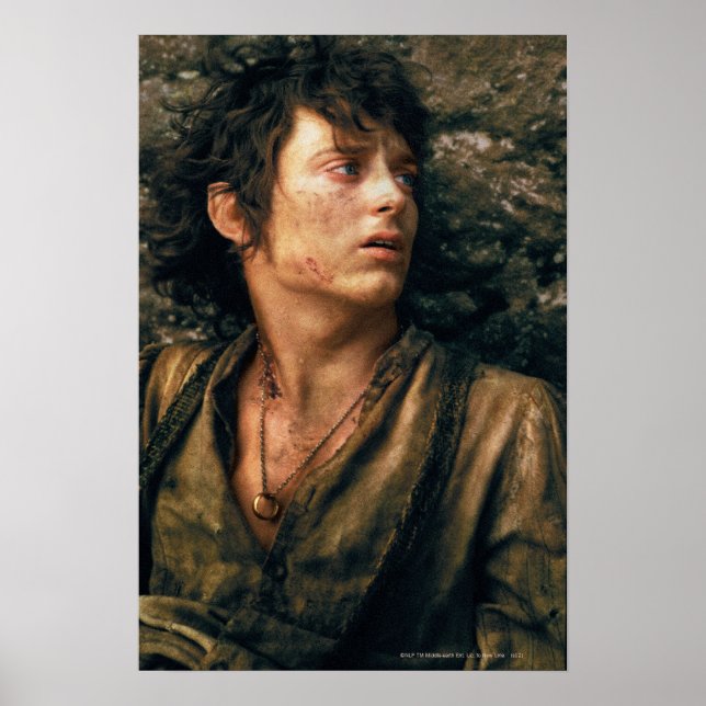FRODO™ in Despair Poster (Front)
