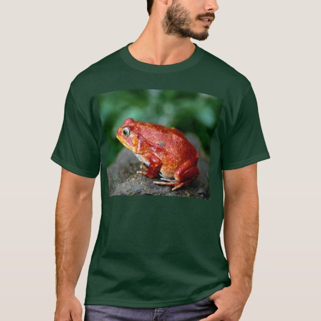 frog1_dark/bgrnd T-Shirt (Front)