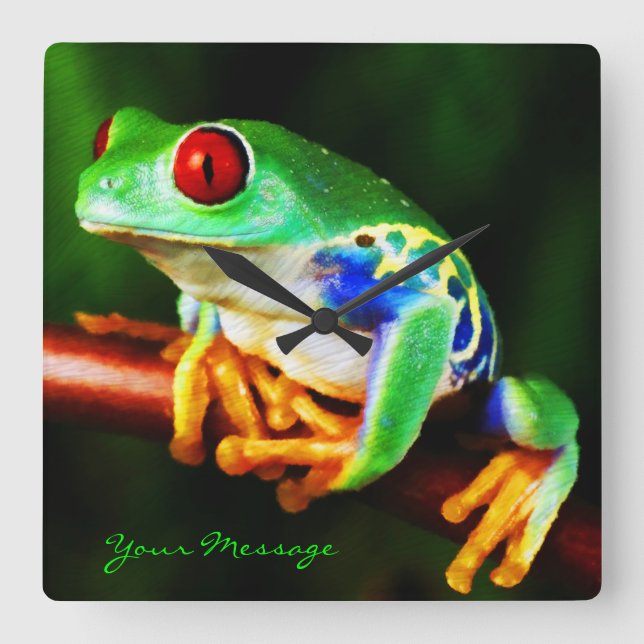 Frog 1 Clock (Front)