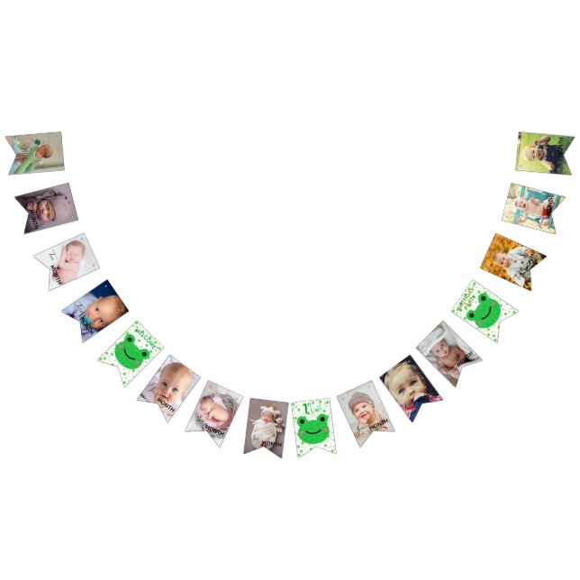 Frog 1st birthday party bunting flags (All)