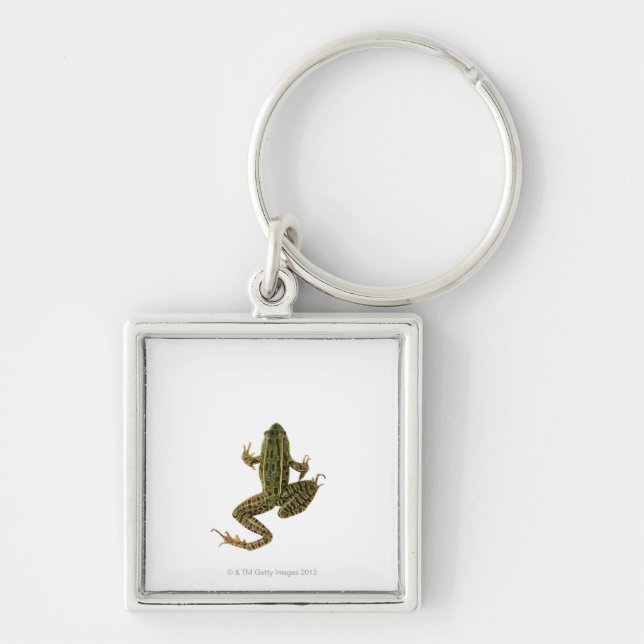 Frog 2 key ring (Front)