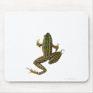 Frog 2 mouse pad