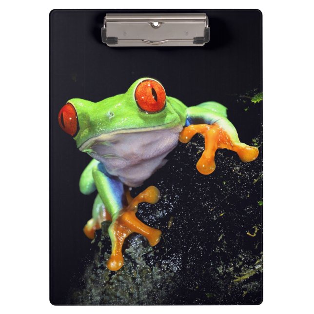 Frog 3 Clipboard (Front)