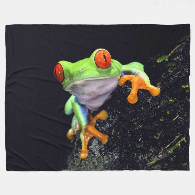 Frog 3 fleece blanket (Front (Horizontal))