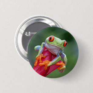 Frog 6 Cm Round Badge