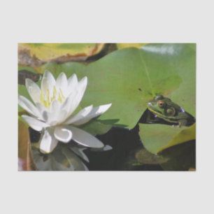 Frog Admiring Water Lily Decoupage Tissue Paper