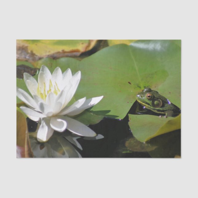 Frog Admiring Water Lily Decoupage  Tissue Paper (Front)