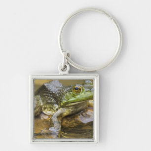 Frog along the Buffalo River, Mile 126 on the Key Ring