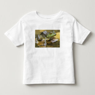 Frog along the Buffalo River, Mile 126 on the Toddler T-Shirt