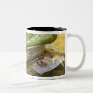 Frog along the Buffalo River, Mile 126 on the Two-Tone Coffee Mug