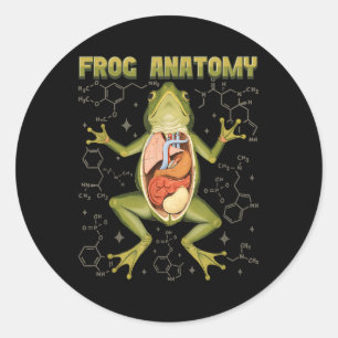 Frog Anatomy Frog Dissection Biology Amphibian Her Classic Round Sticker