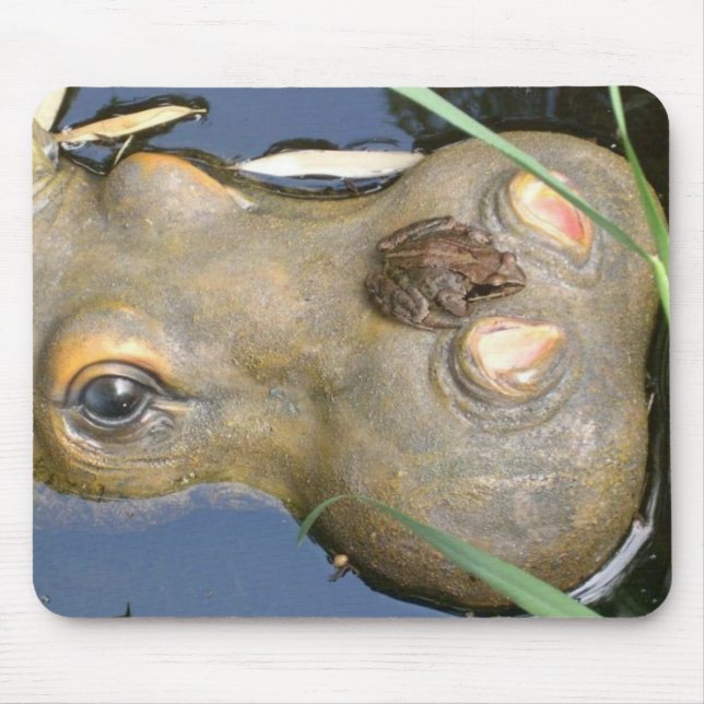 frog and hippo mouse pad (Front)