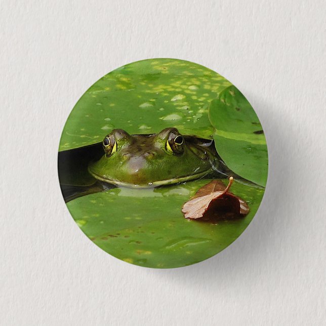 Frog and Lily Pads 3 Cm Round Badge (Front)
