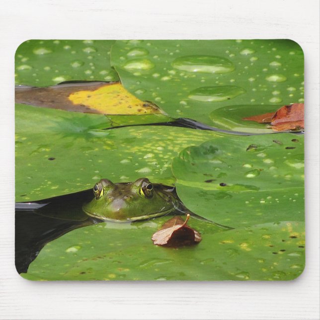 Frog and Lily Pads Mouse Pad (Front)