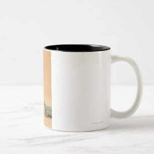 Frog and lizard wearing crowns Two-Tone coffee mug