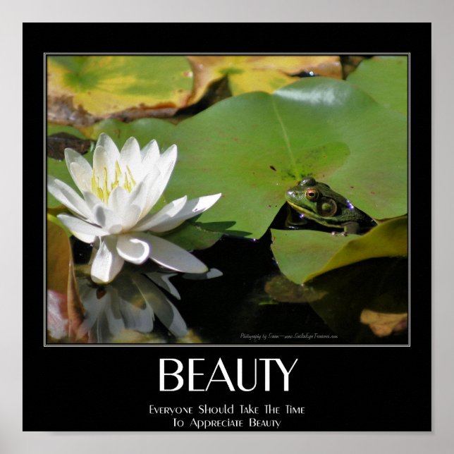 Frog And Lotus Flower Beauty Quote Inspirational Poster (Front)