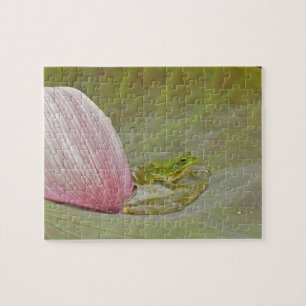 Frog and lotus flower petal, China, Jigsaw Puzzle