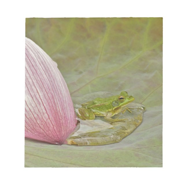 Frog and lotus flower petal, China, Notepad (Front)