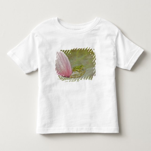 Frog and lotus flower petal, China, Toddler T-Shirt (Front)