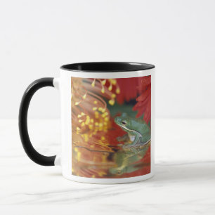 Frog and reflections among flowers. Credit as: Mug