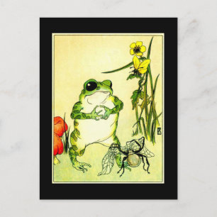 Frog and Spider Postcard
