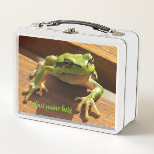 frog,Animal,lunch box ,Case,colourful+ craft,