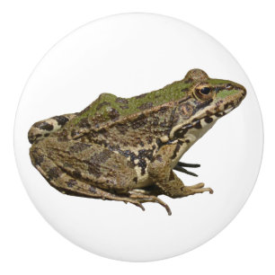 Frog Ceramic Knob