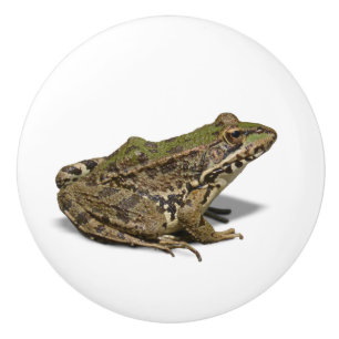 Frog Ceramic Knob
