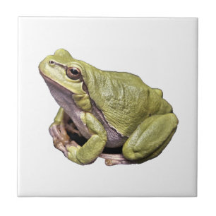 Frog Ceramic Tile