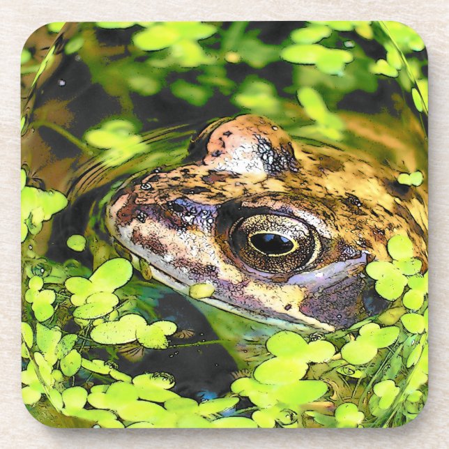 FROG COASTER (Front)