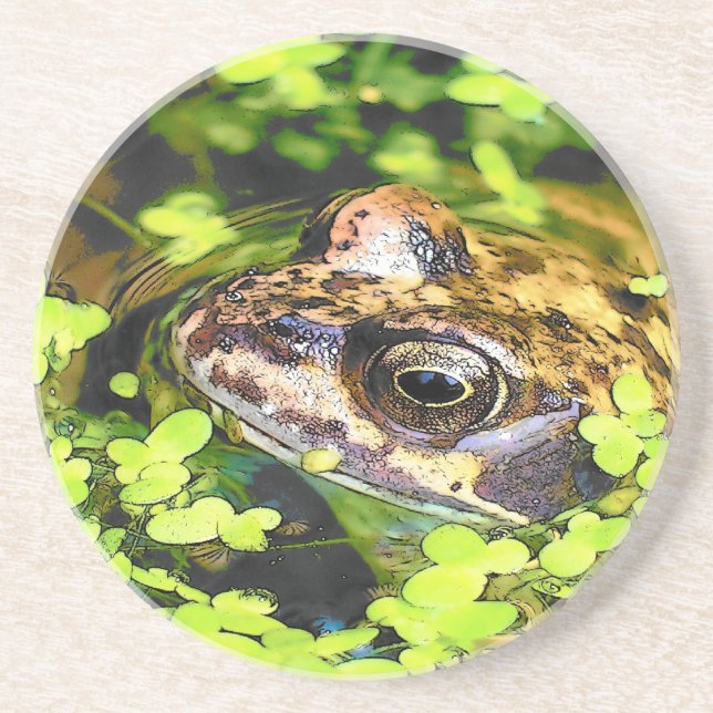 FROG COASTER (Front)