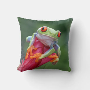 Frog Cushion