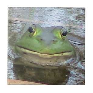 Frog Decorative Tile