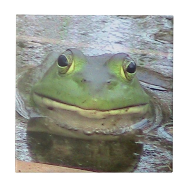 Frog Decorative Tile (Front)