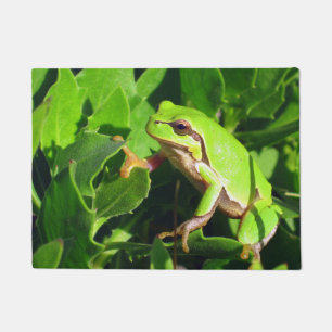 Frog Door Mat