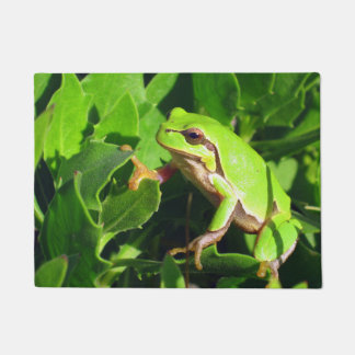 Frog Door Mat