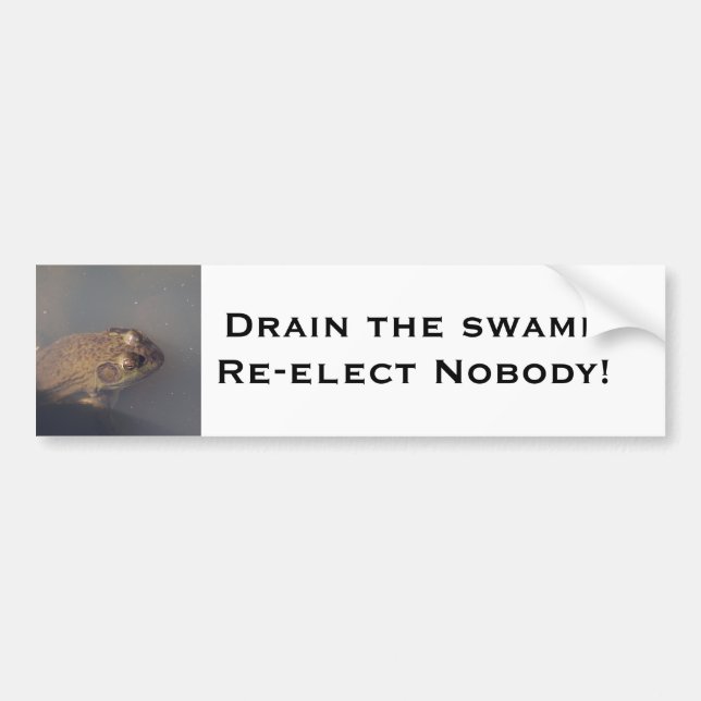 frog Drain the swamp Bumper Sticker (Front)