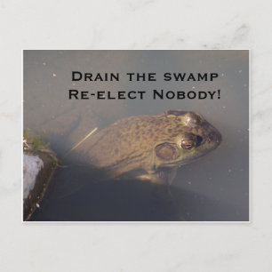 frog Drain the swamp Re-elect Nobody Postcard
