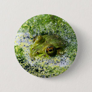 Frog Eyes 6 Cm Round Badge