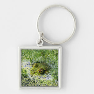Frog Eyes in a Pond Key Ring