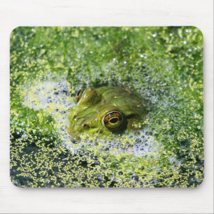 Frog Eyes in a Pond Mouse Pad