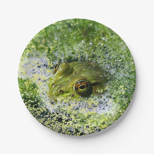 Frog Eyes in a Pond Paper Plate (Front)