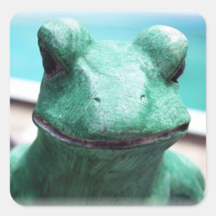 Frog Face Square Sticker