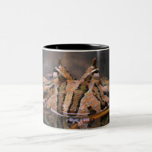 Frog Face Two-Tone Coffee Mug
