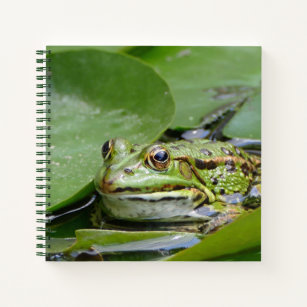 Frog Green Lily Pad Photo Notebook
